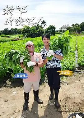 乐队的夏天